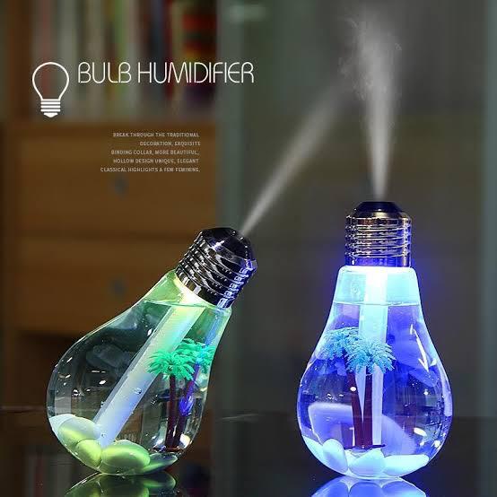 Bulb Humidifier